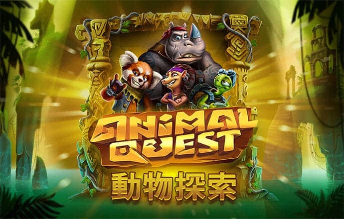 疯狂体育官网入口网址